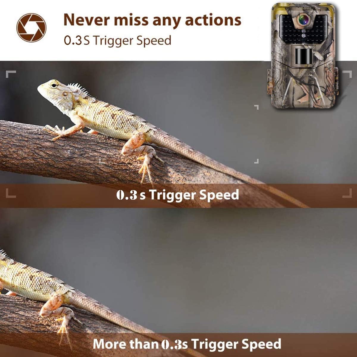 Suntekcam Trail Camera 24MP 1080P Game Camera Motion Activated Night Infrared Vision IP66 Waterproof Outdoor Scouting Wildlife Hunting Camera: Electronics