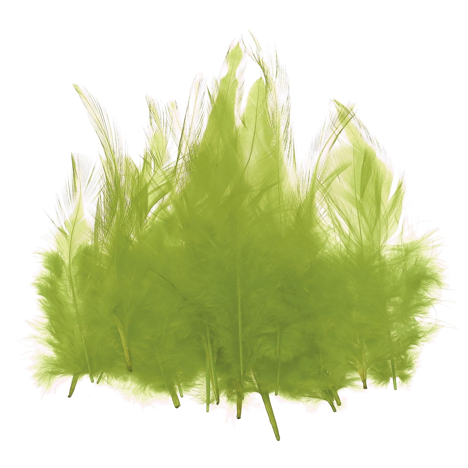 PATIKIL 3-5 Inch Rooster Feathers, 100 Pack Bulk Natural Feathers for Crafts Colorful Fluffy Craft Feathers for Dream Catcher Handwork Clothing Costumes Wedding, Green