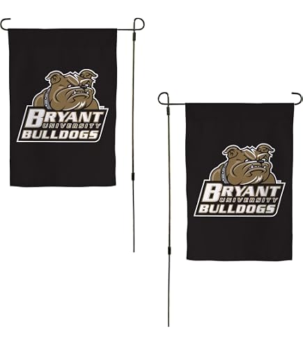 Boston University Terriers Flag - 3x5 Foot Desert Cactus University Banner