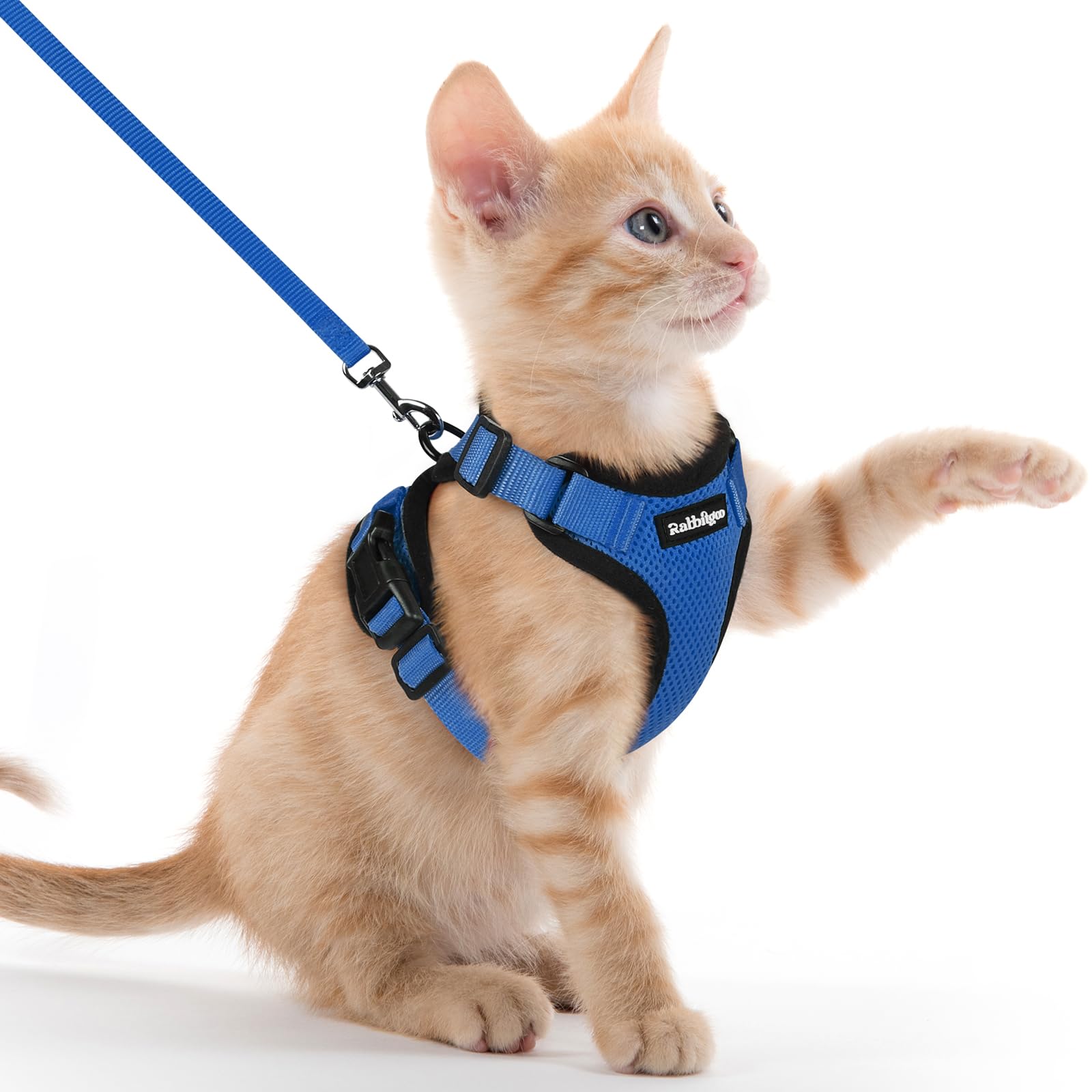 rabbitgoo Cat Harness and Lead Set, Escape Proof Kitten Harness with Leash, Metal Ring, Lightweight Soft, Reflective Adjustable Vest for Small Cat Walking Travel XXS, Blue — image 1