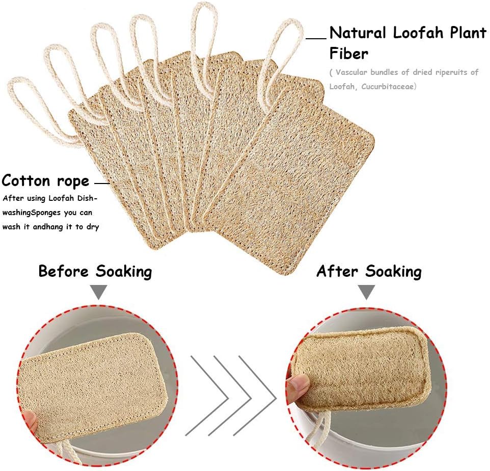 Amazon Co Jp Jebblas ヘチマスポンジ キッチンスポンジ 人気のセルローススポンジ 食器洗い神器 台所用スポンジ抗菌タイプ ナチュラルスポンジ 6 ホーム キッチン