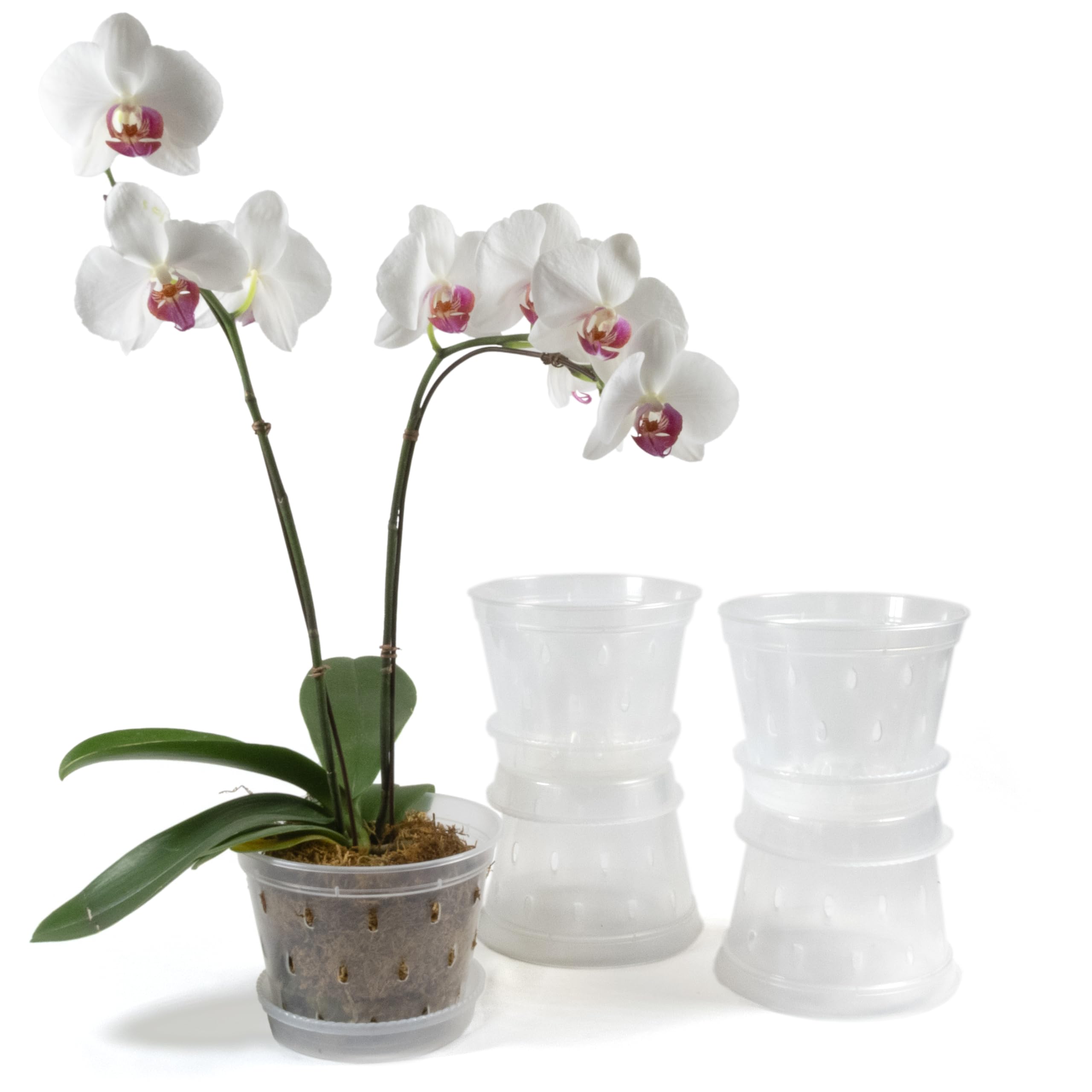 Greenology 15cm / 6" Pack of 5 Orchid Flower Pots with Saucers and Side Drainage in Durable Soft Clear Plastic