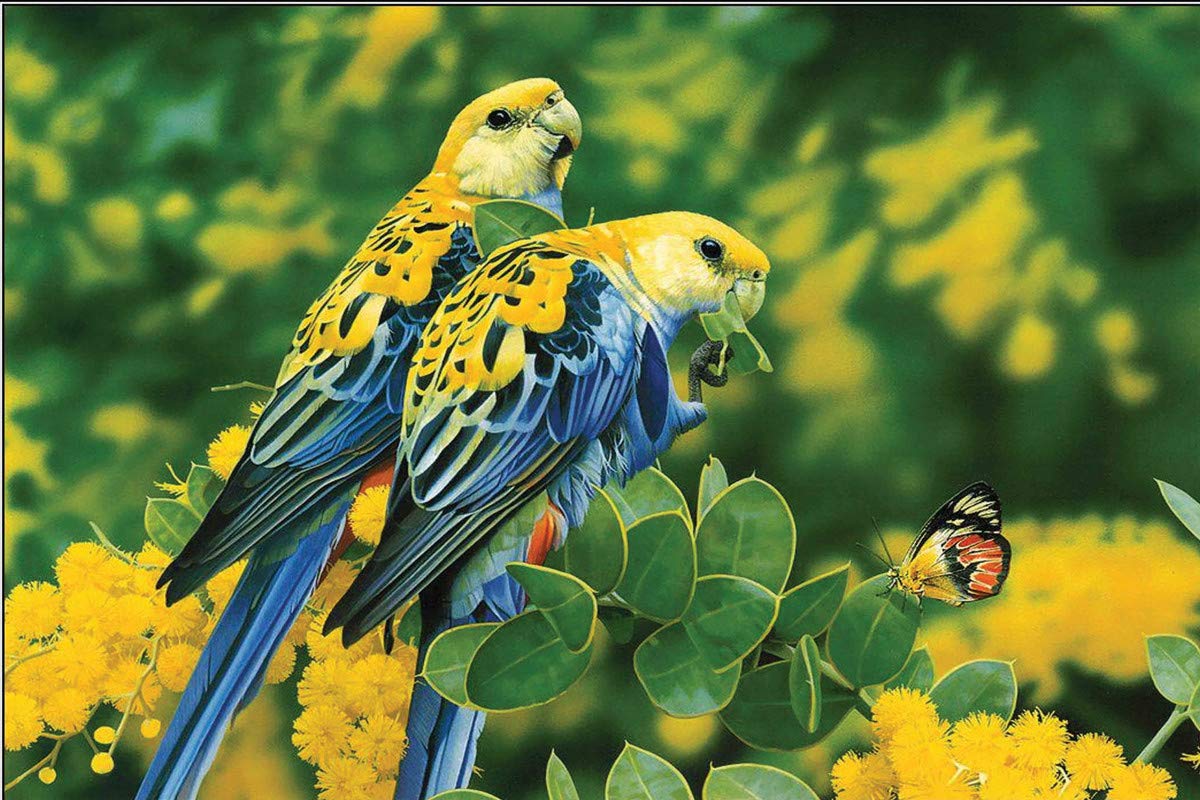 Birds Sticker Wall PosterVastu Parrot PosterHome Decor Item