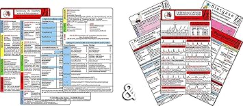 Schemata Scores Intensivstation Karten Set 2in1 Set Ssss Schema Abcde Schema Basics Schema Ipap Schema Sampler S Fast Opqrst Pech Regel 4hs Hits Kuss Amazon De Burobedarf Schreibwaren
