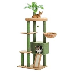 PEQULTI 53'' Cat Tree for Indoor Cats, Green Cat