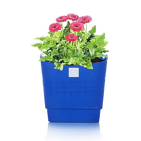 Pepper Agro Vertical Garden Planter Wall Hanging Flower Pots Blue Set of 12