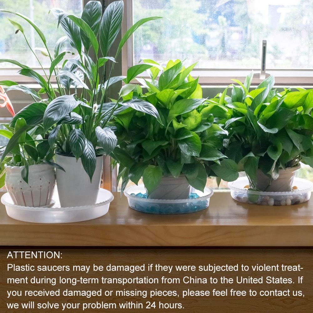 MUDEELA 6 Pack of 12 inch Plant Saucer, Durable Plastic Plant Trays for Indoors, Clear Plastic Flower Plant Pot Saucer, Made of Thicker, Stronger Plastic, with Taller Design : Garden & Outdoor