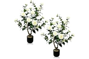 WAYNHUI Tall Artificial 2Pack White Camellia Tree Potted Bushes UV Resistant Potted Plants for Indoor Outdoor Home Garden (2Pack White Camellia Tree)