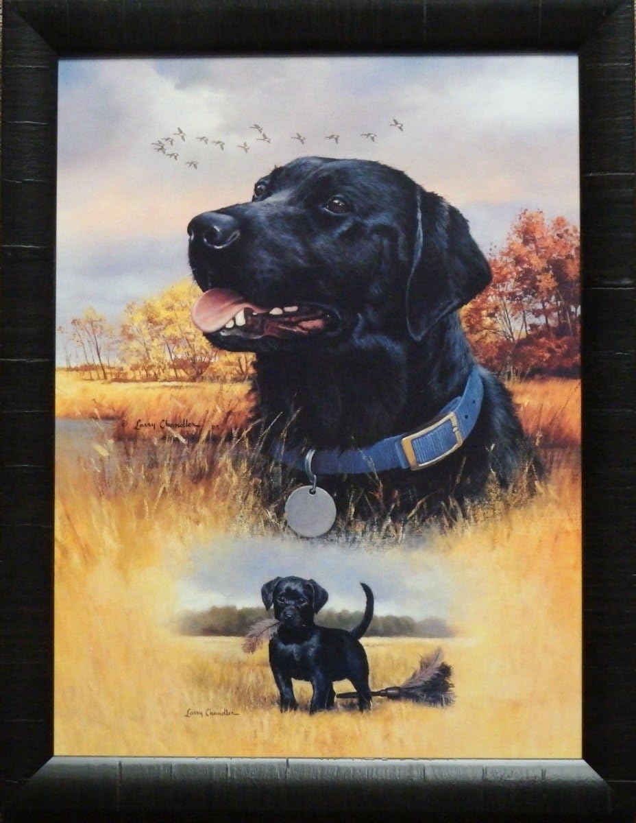 WildlifePrints Larry Chandler Black Lab and Pup Framed Art