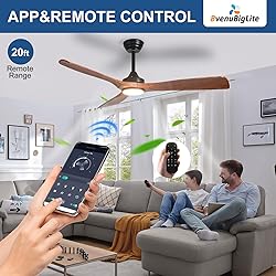 BvenuBigLite Outdoor Ceiling Fan with Light: 52