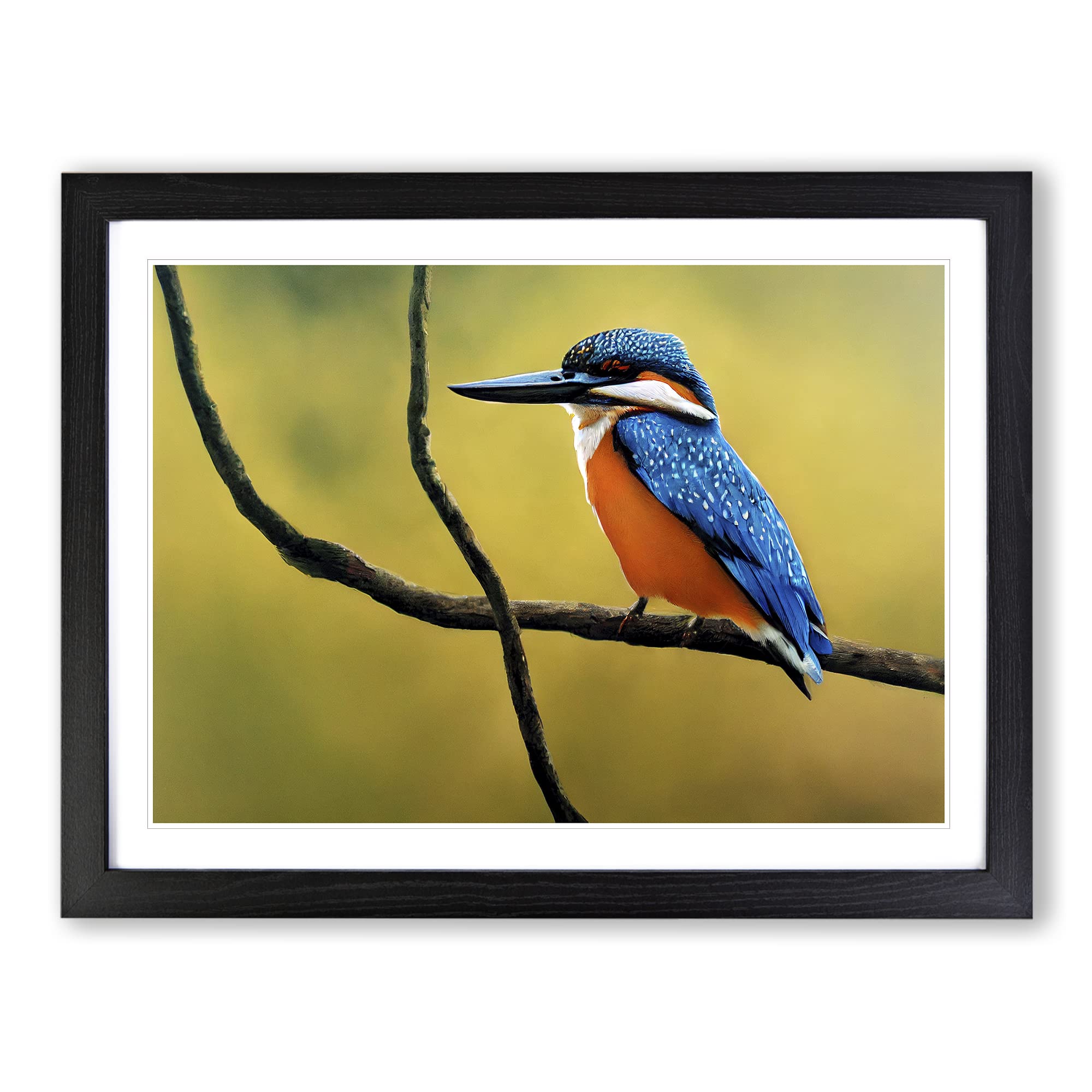 Euphoric Kingfisher Bird Framed Print | A4 Black Framed Wall Art | Ready to Hang | Modern Nature Picture | Living Room Bedroom Lounge Office