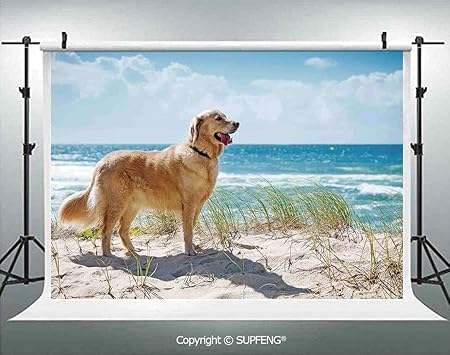 Amazon Background World アイコン アフリカ大陸 キュート アニメ 動物 ライオン キリン ゼブラ ヒッポ エレファント 3d 背景 室内装飾 写真 スタジオ 小道具 バックペーパー 背景布 通販