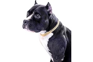 PP COLOR Gold Chain Dog Collar-15mm Cute Dog Collar Pet Gold Necklace Bulldog Light Metal Puppy Jewelry 17" Chain Puppy Costume