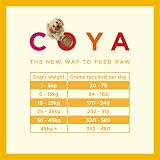 COYA Freeze-Dried Chicken Dog Food 750g Hypoallergenic Grain Free 80% Meat view 4
