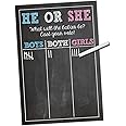 Twins Gender Reveal Party Supplies - Cast Your Vote Poster Sign - 11 x 17 Matte Cardstock - Party Game for Twins Baby Reveal - Design by Katie Doodle