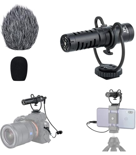 Amazon.com : Canon SM-V1 5.1 Channel Surround Microphone for S and