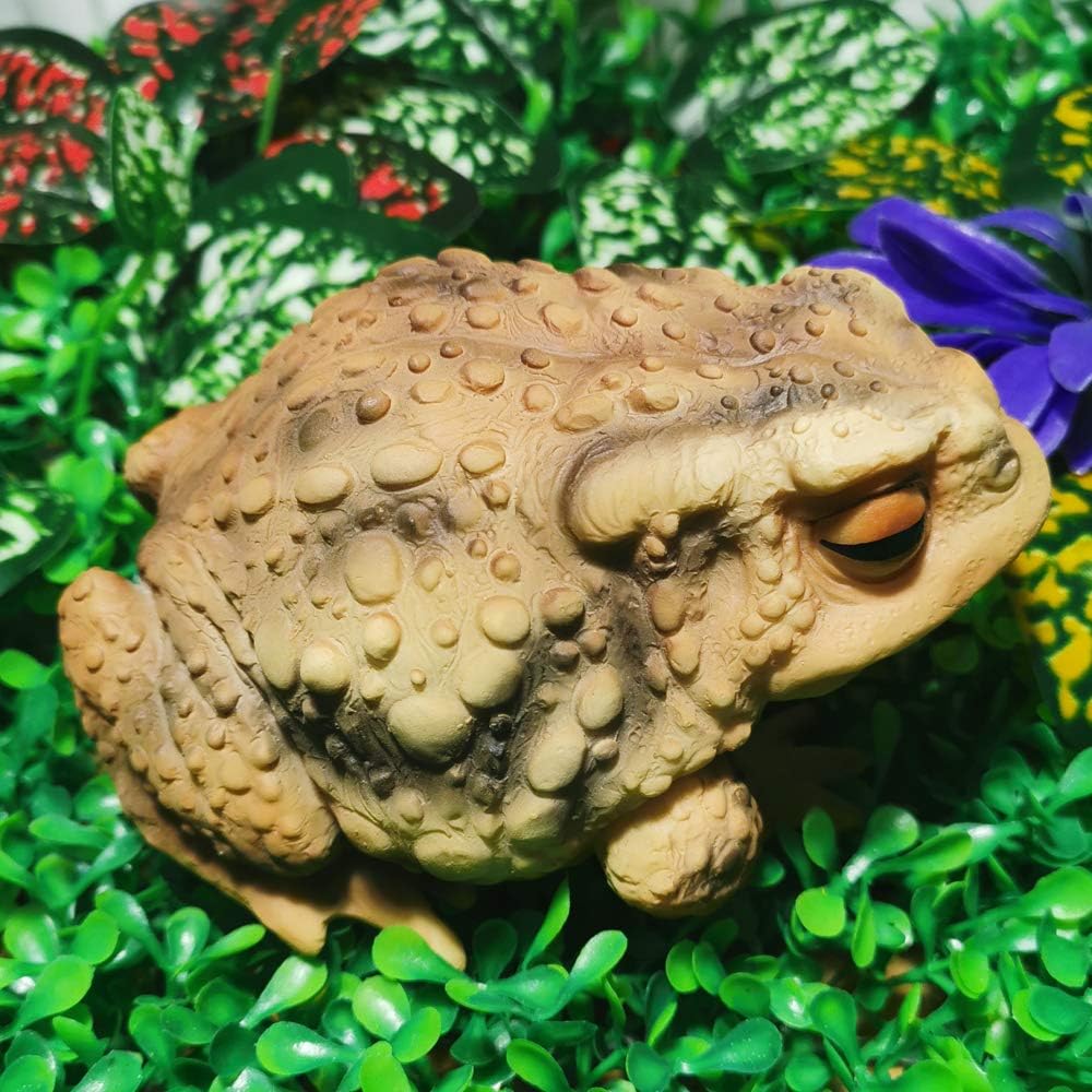 Muse Design Frog Toad Sculptures Garden Statues Yard Art Resin Decorations Outdoor Garden Décor : Garden & Outdoor