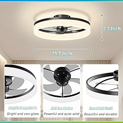 JOFIOS Ceiling Fans with Lights, 15.7in Black Flush