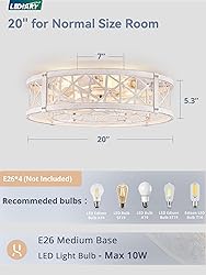 LEDIARY 20" Caged Ceiling Fan with Light, Small