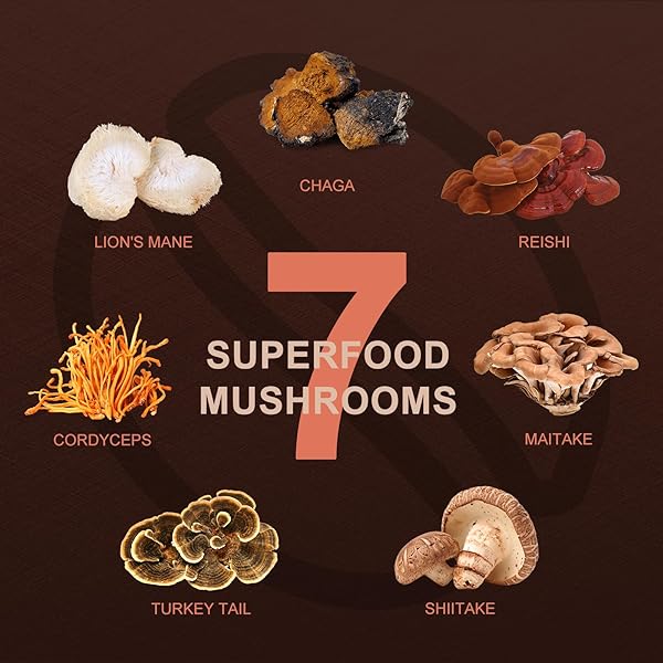 ORGFUN PREMIUM MUSHROOM COFFEE WITH 7 SUPERFOOD MUSHROOMS, GREAT TASTING ARABICA INSTANT COFFEE, INCLUDES CHAGA, LION’S MANE, REISHI, CORDYCEPS, MAITAKE, AND TURKEY TAIL, SHIITAKE 3.53 OZ