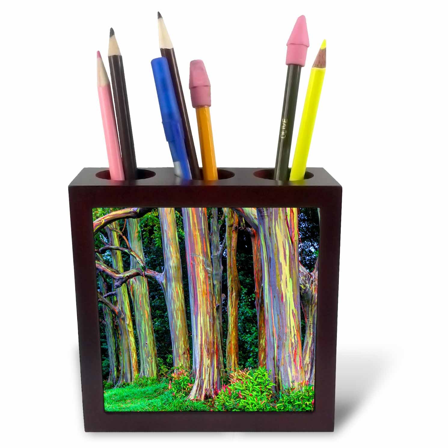 3dRose USA, Hawaii, Maui, Grove of Rainbow Eucalyptus Trees - Tile Pen Holder, 5-Inch (Ph_259257_1)
