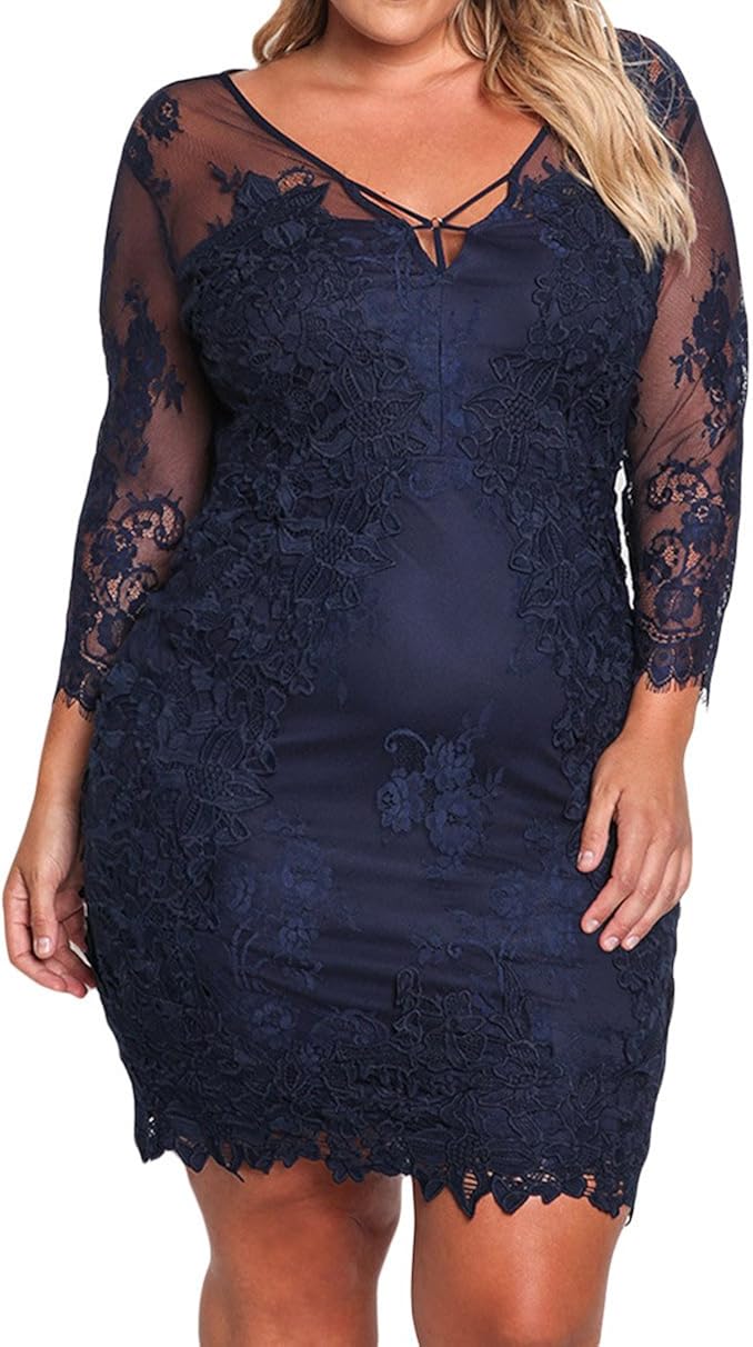 plus size sheer embroidered dress