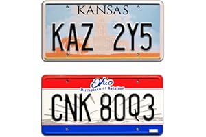 Winchester Impala | Kaz 2Y5 + CNK 80Q3 | Metal Stamped License Plates