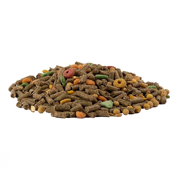 WILD HARVEST ADVANCED NUTRITION GUINEA PIG, 4 POUNDS, COMPLETE AND BALANCED DIET