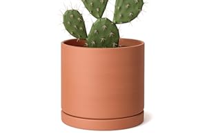 D'vine Dev Medium 8 Inch Terracotta Plant Pot with Drainage Hole and Saucer, Round Cylinder Planter Pot for Indoor Plants, 40-X-A-4