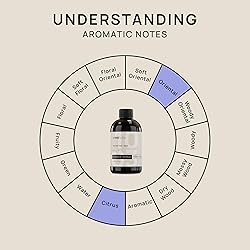 VINEVIDA [4 Fl Oz] Scent NO. 1003 Inspired by 24K