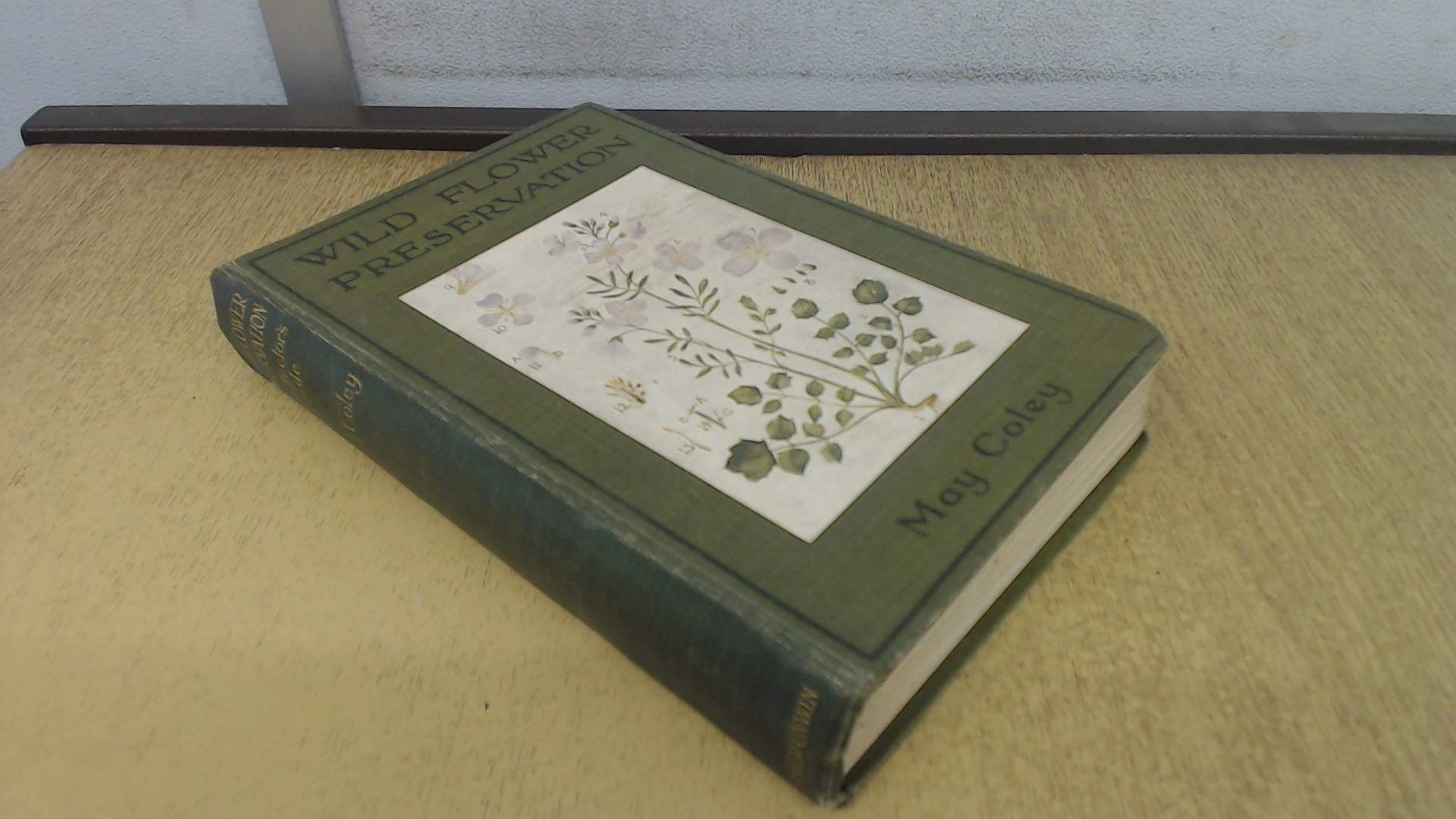 Isabel Ross Flowers By Coley Coupon 40 Off Free Trial 3 Draftium