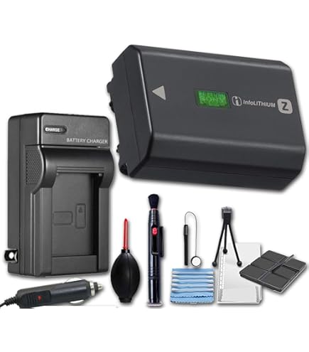 Amazon.com : Sony NP-FZ100 Rechargeable Lithium-Ion Battery