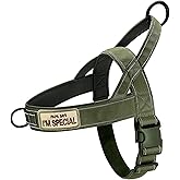 QIFBYFB Green No Pull Dog Harness for Small Medium Large Sized Dog, Reflective Escape Proof Adjustable Dog Harnesses with 2 Patch, L