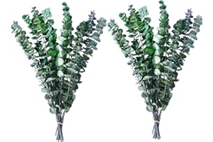 Naunauya Dried Eucalyptus for Shower, 17/'' Natural Fresh Green Plant, Real Leaves Branches, Stems Flower Arrangement, Green Bathroom Decor, Home Decor (20 Pieces) (2Y)