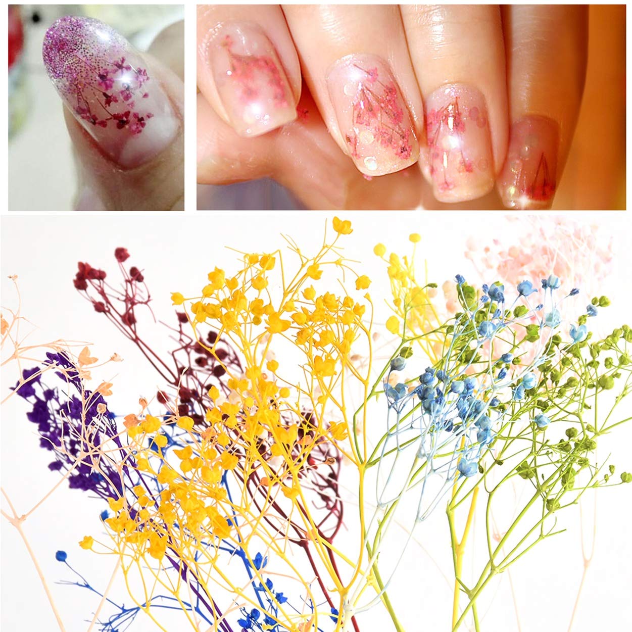 Amazon Com 1 Pc Dried Flower Nail Art Rhinestone Diy Professional Crystal Gem Finger Design Agile Popular Small Acrylic Glitter Polish Halloween Decor Kids Makeup Tool Tip Beauty