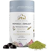 Zenith Ritual Shilajit and Moringa Gummies Elderberry Flavor – Boost Energy, Focus & Vitality – 75% Fulvic Acid – 100% Vegan, Gluten-Free, No Added Sugar – 60 Gummies