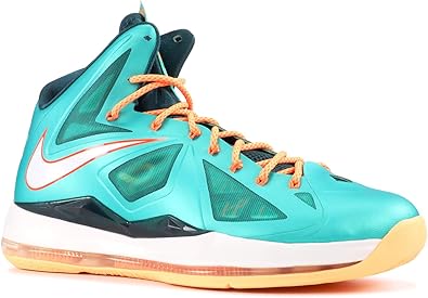 lebron 10 dolphins