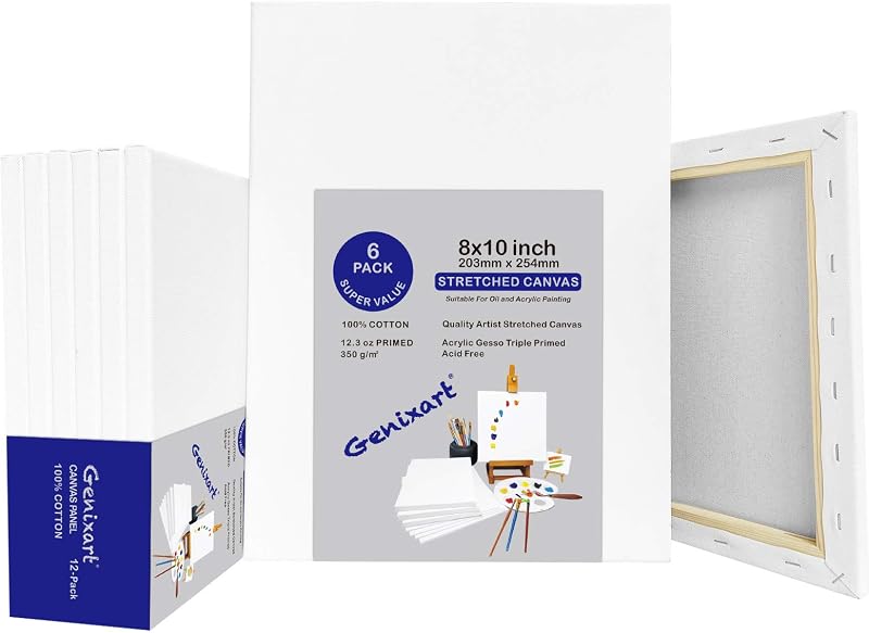Genixart White Blank Stretched Canvas 20x25cm 6 Pack Primed Professional Artist