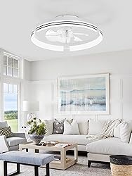 ZMISHIBO Low Profile Ceiling Fans with Lights and