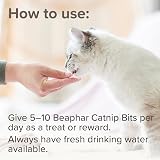 Beaphar Catnip Bits for Cats – 75 crunchy treats with catnip paste view 6
