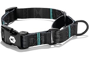 WOLFGANG MAN & BEAST Wolfgang Premium Martingale Dog Collar for Medium Dogs, Durable & Easy to Clean Nylon Dog Collar with Quick Clip Buckles, for Training & Daily Use, Made in USA, NightOwl Print, (1 Inch x 14-18 Inch)