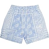 BOOMLEMON Men's Retro Paisley Shorts Mesh Print Casual Beach Shorts Athletic Gym Workout Running Short Pants
