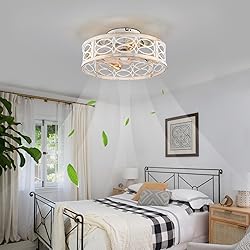 HUEOCZW 20" Caged Ceiling Fan with Light and