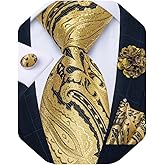DiBanGu Mens Tie and Lapel Pin Set Silk Plaid Solid Paisley Necktie & Pocket Square Cufflinks for Wedding Party
