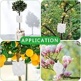 Fdit 10pcs Plant Root Growing Box, Reusable Grafting Tools for Plants view 3