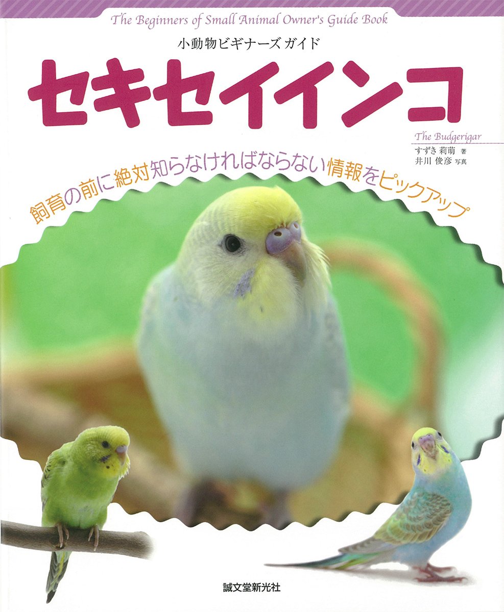 小動物ビギナーズガイド セキセイインコ すずき 莉萌 本 通販 Amazon Co Jp