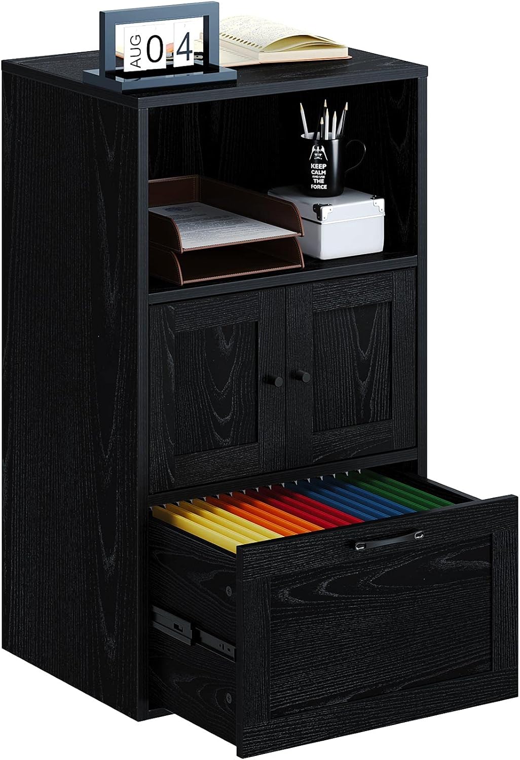 Rolanstar File Cabinet with Drawer and Door, Filing Cabinet Office Cabinets with Storage Shelf for Home Office Living Room, Black