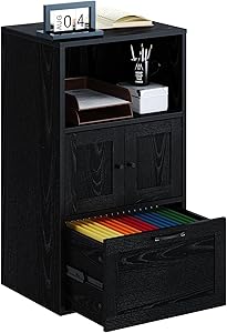 Rolanstar File Cabinet with Drawer and Door, Filing Cabinet Office Cabinets with Storage Shelf for Home Office Living Room, Black