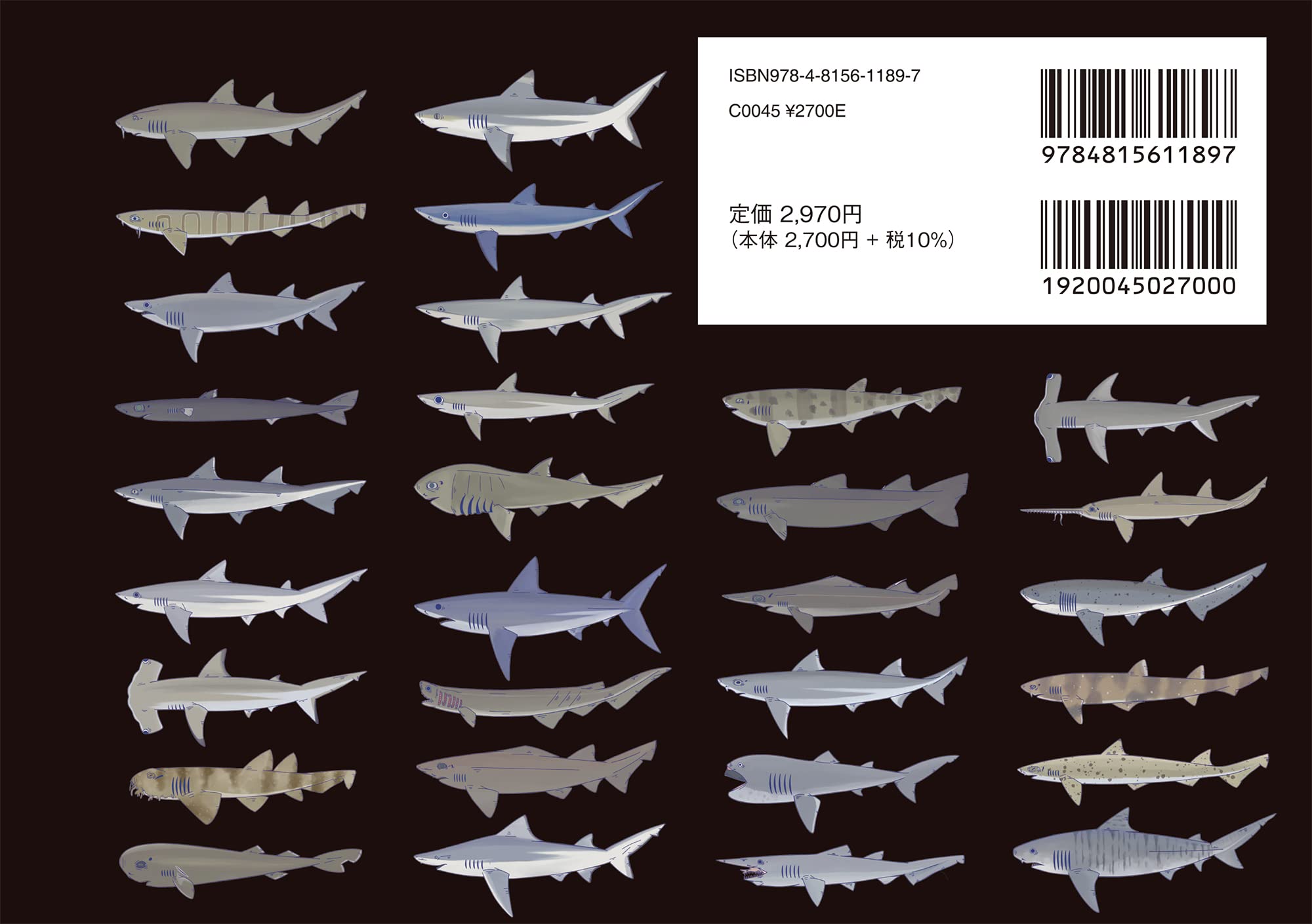 Amazon Co Jp 限定 世界のサメ大全 サメ愛好家が全身全霊をささげて描いたサメ図鑑 Dl特典 サメポスター 青版 白版 データ2点 めかぶ 田中 彰 本 通販 Amazon