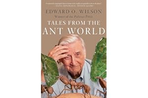 Tales from the Ant World